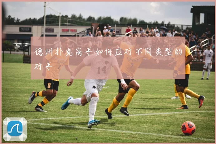 德州扑克高手如何应对不同类型的对手