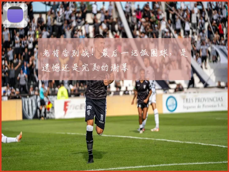 老将告别战！最后一记弧圈球，是遗憾还是完美的谢幕