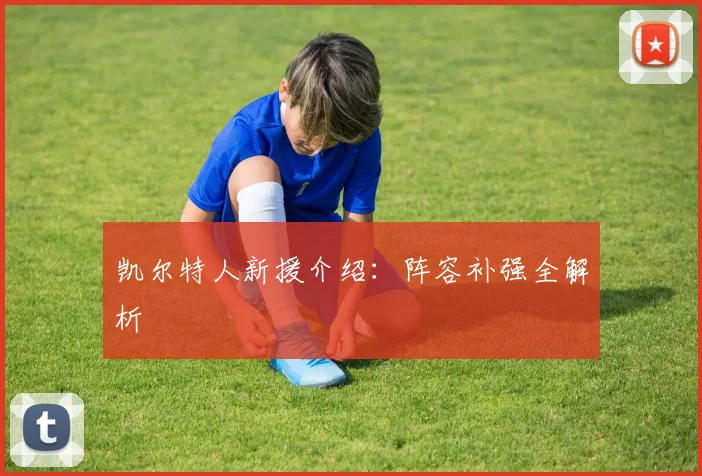 凯尔特人新援介绍:阵容补强全解析