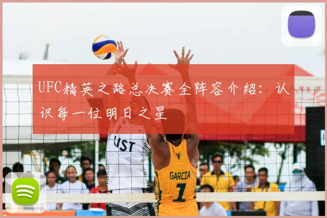 UFC精英之路总决赛全阵容介绍:认识每一位明日之星