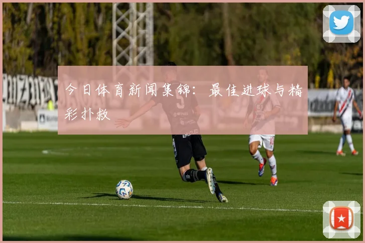 今日体育新闻集锦：最佳进球与精彩扑救