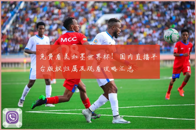 免费看美加墨世界杯！国内直播平台版权归属及观看攻略汇总