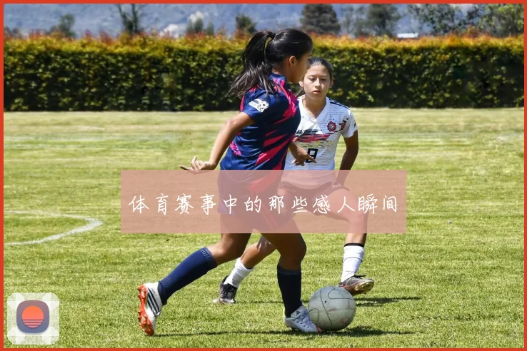 体育赛事中的那些感人瞬间